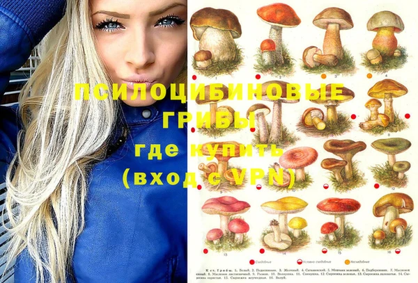 2c-b Дмитриев