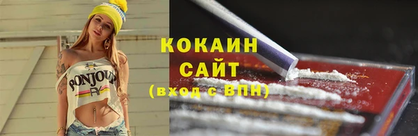 2c-b Дмитриев