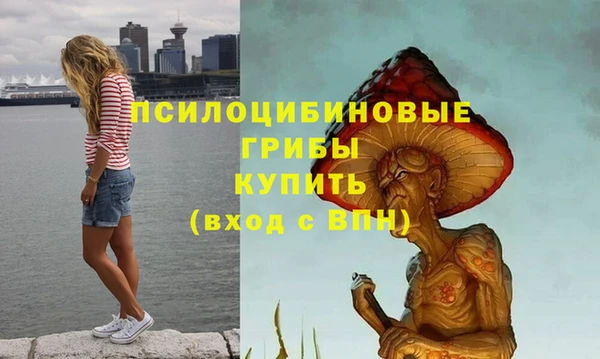 альфа пвп Дмитров
