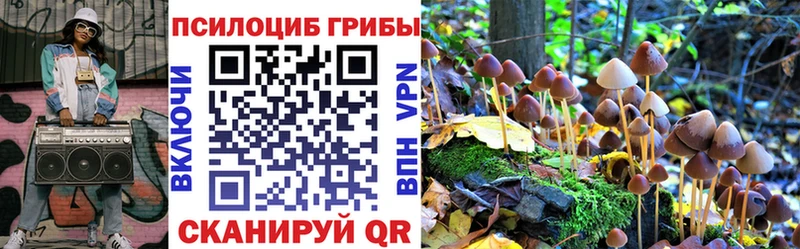 Галлюциногенные грибы MAGIC MUSHROOMS  магазин    Каргополь 