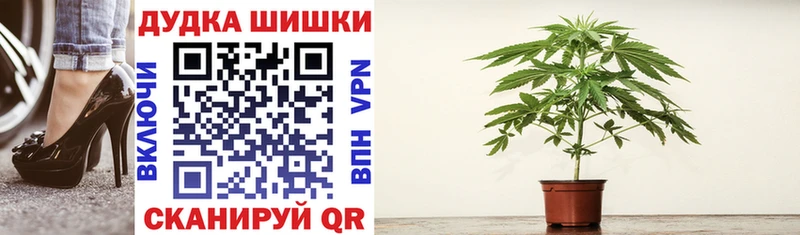 Конопля индика  Каргополь 